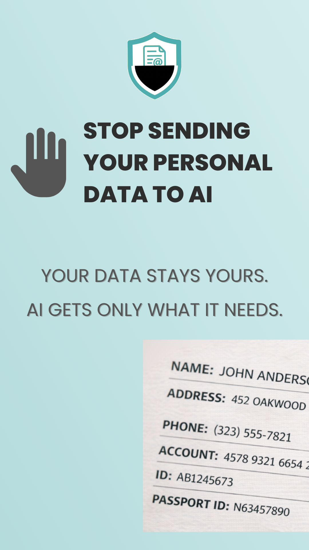 Stop sending your personal data to AI